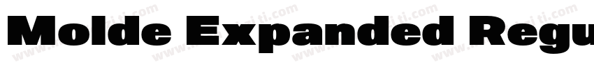 Molde Expanded Regular字体转换
